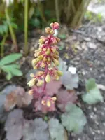 P1540318.webp