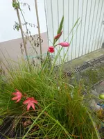 P1540372.webp