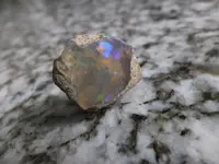DSCF9018.webp