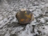 DSCF9019.webp