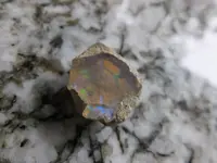 DSCF9022.webp