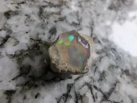 DSCF9021.webp
