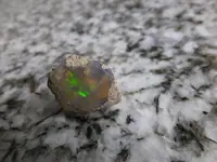 DSCF9032.webp