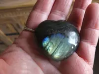 DSCF9052.webp