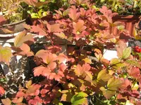 BILD4625.webp