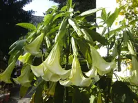 BILD4657.webp