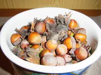 011.webp
