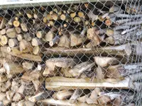 DSCF4003.webp