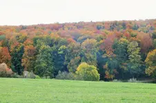 DSCF3755 (2).webp