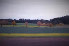 DSCF3763 (2).webp