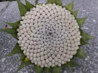 DSCF9003.webp
