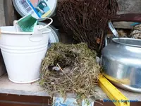 comp_P1250850.webp
