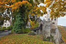 DSCF3781 (2).webp