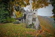 DSCF3782 (2).webp