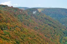 DSCF3784 (2).webp