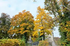 DSCF3785 (2).webp
