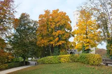 DSCF3790.webp