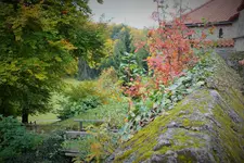 DSCF3792 (2).webp