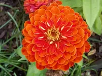 IMG_20151010_102518[1].webp