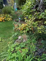 IMG_20151010_102905[1].webp