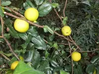 Bilda014.webp