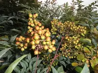 Bilda037.webp