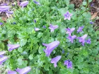 Bilda009.webp