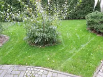 DSCN6689.webp