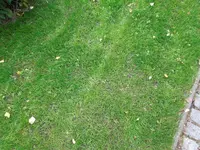 DSCN6690.webp