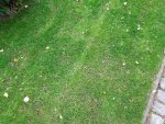 DSCN6690.jpg