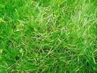 DSCN6691.webp