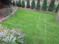 DSCN6692.webp