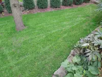 DSCN6693.webp