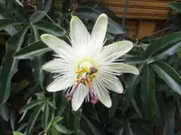 Bilda029.webp
