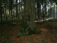 PA100635.webp