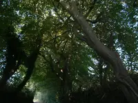 PA100642.webp