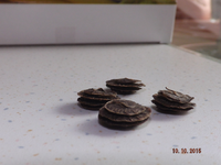 DSCF0122l.webp