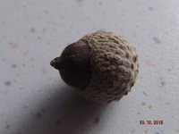 DSCF0117l.webp