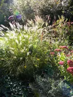 DSCN0014.webp