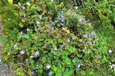 DSCF3832 (2).webp