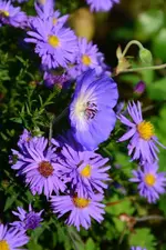DSC_5841.webp