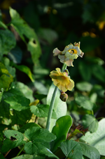 DSC_5843.webp