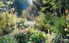 DSCN9935.webp