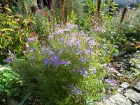 DSCN9946.webp