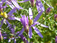 DSCN9948.webp