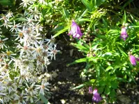 DSCN0017.webp