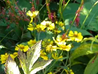 DSCN0018.webp