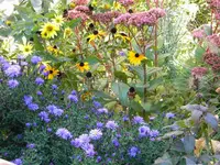 DSCN0019.webp