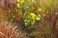 DSCF3819.webp