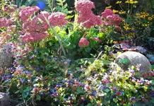 DSCN0046.webp